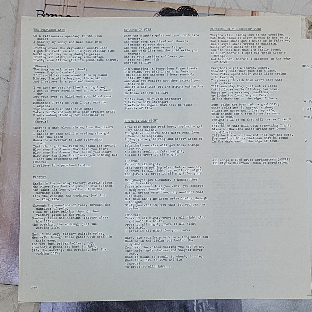 Bruce Springsteen Vinyl - Picture 4 of 7